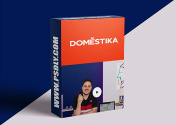 Domestika - Visual identity Design for Businesses