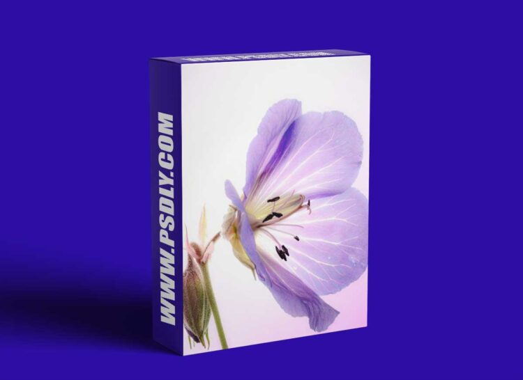 Fine art photography: X-ray like images of flowers for beginners 1 Fine art photography: X-ray like images of flowers for beginners