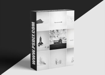 Marc Koegel - Finding Your Vision and Exercising Creativity