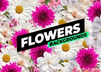 Videohive Flowers Backgrounds 53769761