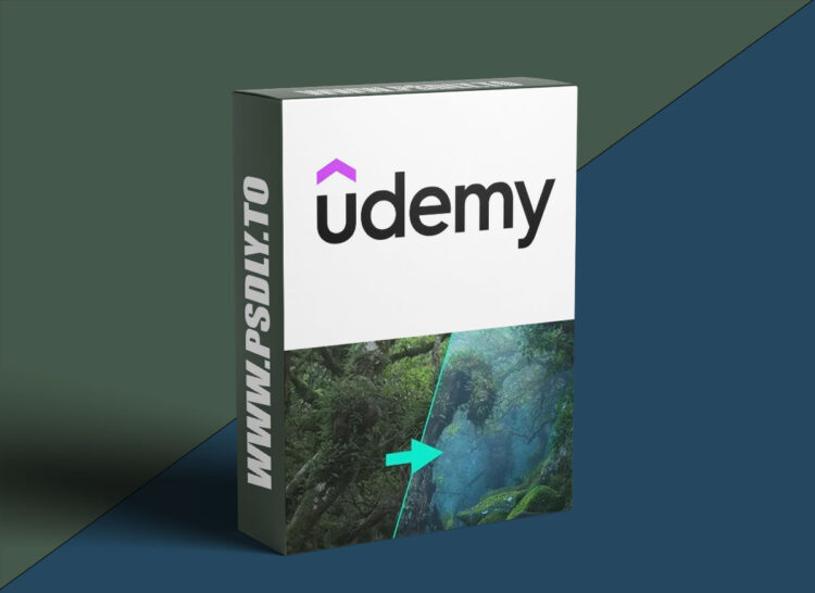 4 Seasons In The Dark Forest - Landscape Photography Editing 1 4 Seasons In The Dark Forest - Landscape Photography Editing