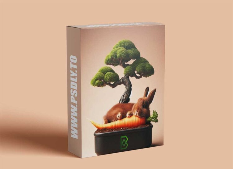 Bonsai v0.8.0 for Blender 1 Bonsai v0.8.0 for Blender