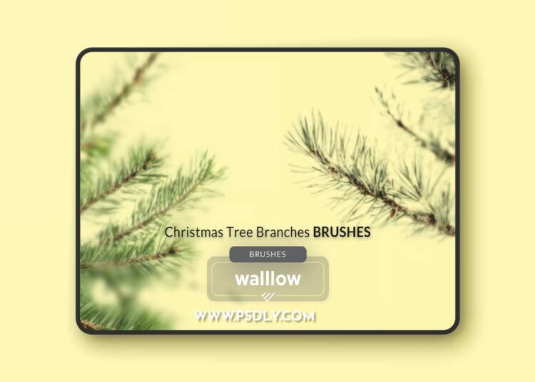 Christmas Tree Branches Photoshop Brushes AKPZP8U 1 Christmas Tree Branches Photoshop Brushes AKPZP8U
