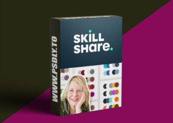 Color Your Brand: A Beginner's Introduction to Canva and Palettes