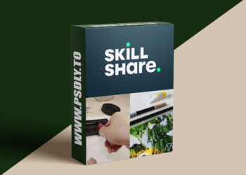 Procreate Brushes: Make Your Own Digital Illustration Tools on the iPad