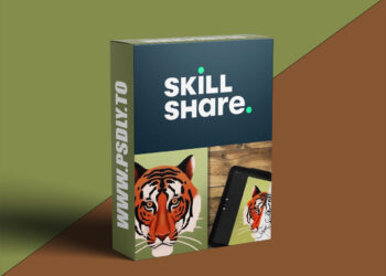 Stylised Animal Portrait Illustrations: in Procreate