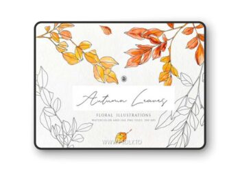 Autumn Leaves - 30 Watercolor Floral Illustrations
