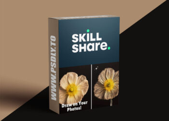 Digital Brushwork for Photos & Beyond