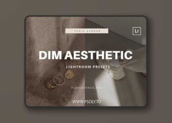 Dim Aesthetic Lightroom Presets