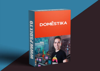Domestika - Introduction to Character Design in Pixel Art