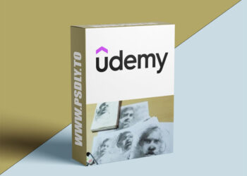 Draw With Confidence: Master The Basics Of Drawing