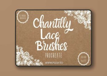 Lace Procreate Brushes X 13 and Palette