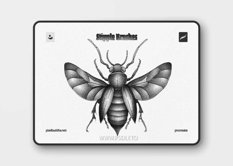 Procreate Stipple Brushes HQ74SUM 1 Procreate Stipple Brushes HQ74SUM