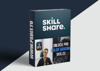 Master Color Correction & Grading in DaVinci Resolve 19