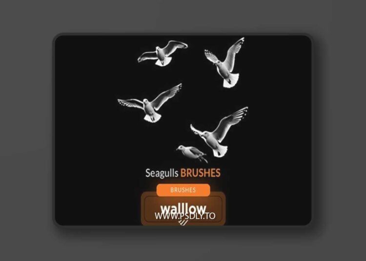 Seagull photoshop brushes for photo editing DWN7M92 1 Seagull photoshop brushes for photo editing DWN7M92