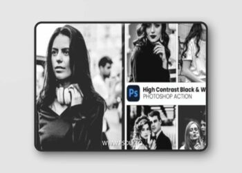 High Contrast Black & White