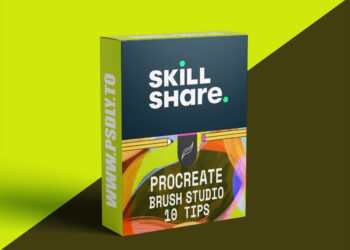 Optimize Your Procreate Brushes: 10 Tips for Illustrators and Designers