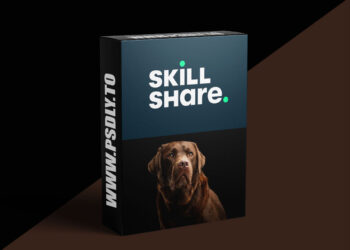 Portrait Photography: Five Ideas For Photographing Dogs