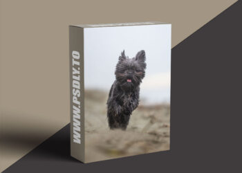 Unleashed Education - 5 Mistakes Pet Photographers are Making and How Not to Make Them