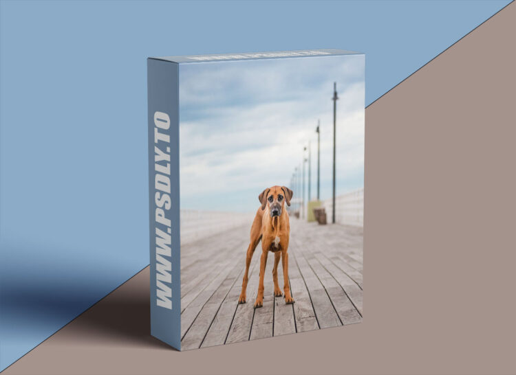 Unleashed Education - 7 Ways to Unleash Variety in Your Dog Photography Sessions 1 Unleashed Education - 7 Ways to Unleash Variety in Your Dog Photography Sessions