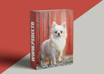 Unleashed Education - Unleashing the Power of Colour