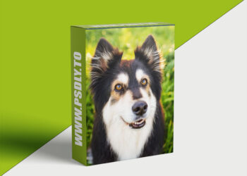 Unleashed Education - Working with Natural Light