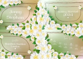 Videohive Wedding Invitation v01 50336119
