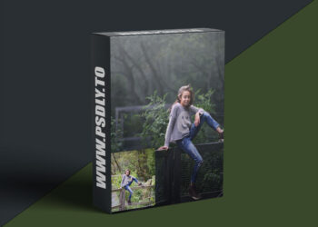 AwTeaches - Light Up The Forest