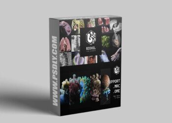 Blender Market - Bioxel Nodes 1.0.7