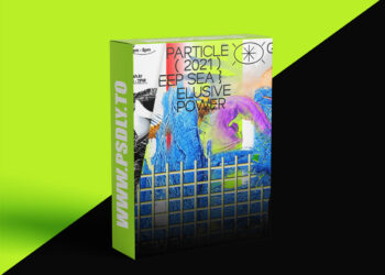 Coloso - Atypical Graphic Designs through Practical Branding