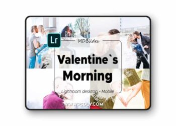 CreativeMarket - 5 Lightroom Presets Valentines Day 4423211