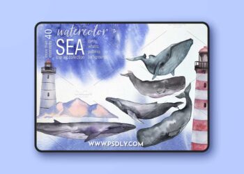 CreativeMarket - Watercolor Sea Whales clip art 2370047