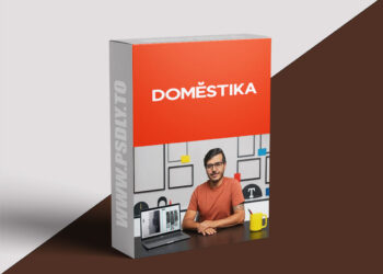 Domestika - Compositional Techniques for Graphic Design