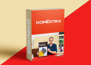 Domestika - Minimalist Graphic Design for Big Ideas