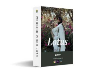 Gamut - Lotus Lut Pack