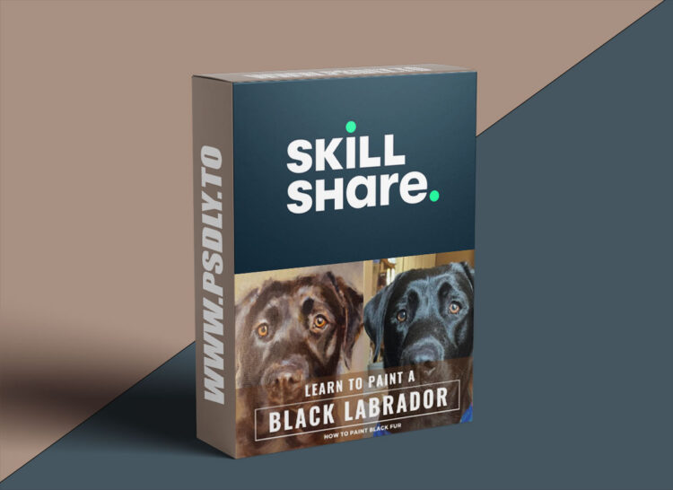 Learn To Paint A Black Labrador in Acrylic Paint : Step by Step Guide To Painting Black Fur 1 Learn To Paint A Black Labrador in Acrylic Paint : Step by Step Guide To Painting Black Fur