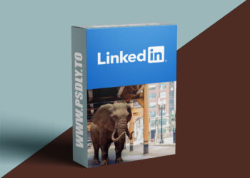 Linkedin - After Effects: Working with 3D Models