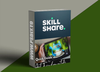 Quick Guide To Art Fundamentals For Beginners In Procreate