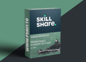 Random Inspiration: Finding Animal Illustrations in Unexpected Places