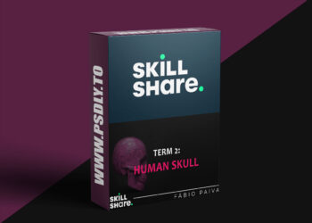 Term 2 - Sculpting the Human Skull