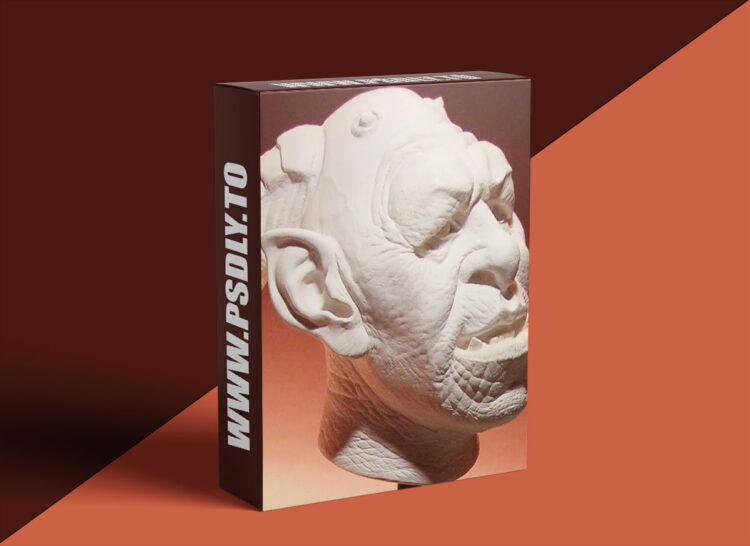 The Gnomon Workshop - Sculpture 4 1 The Gnomon Workshop - Sculpture 4