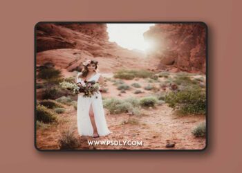 Twig & Olive - Harvest Matte