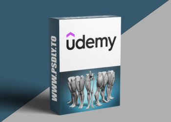 Udemy - Legs and feet anatomy exercises course