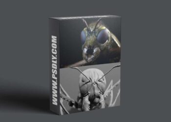 Zbrushguides - Insect Detailing Brushes for ZBrush