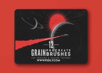 12 Grain Brushes for Procreate 3D Model