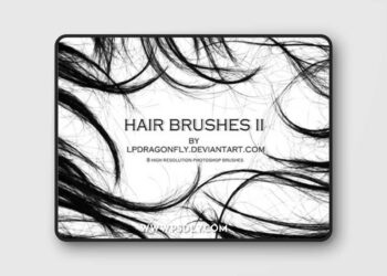 6 Hair Brushes Bundle
