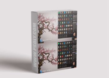 Blender Market - PBR Painter Pro v4.2.3