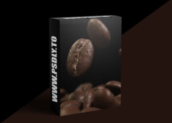 Cgside - Procedural Coffee Beans - Patreon Exclusive