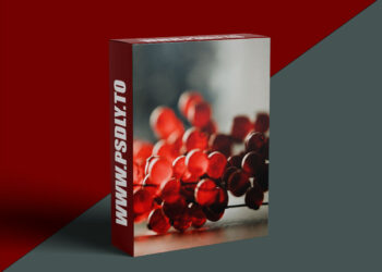 Chocofur - The Art of Rendering Masterclass