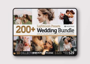 CreativeMarket - 200+ Wedding Presets Bundle - 6172458